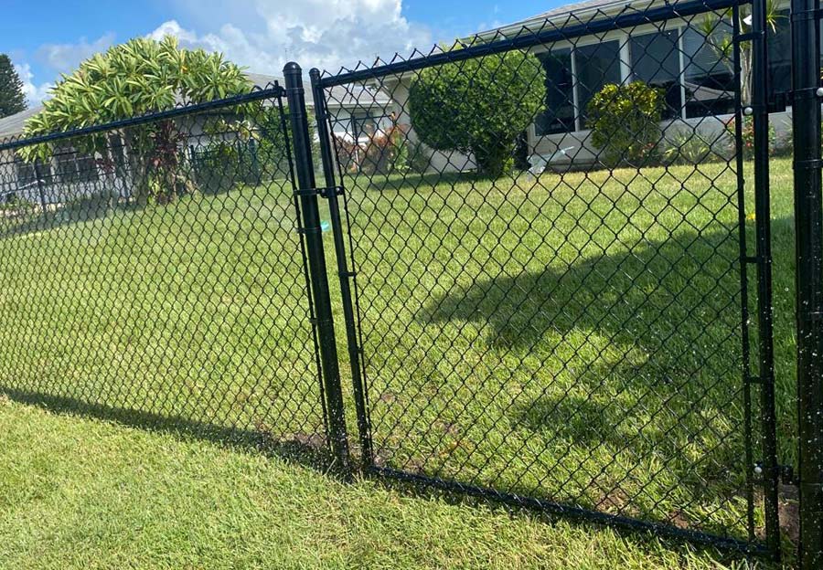 Close-up of a black chain link fence.